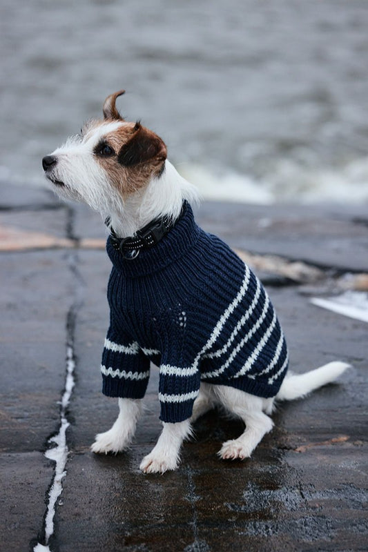 Downloadable pattern: Skipper Dog Sweater (Novita Essentials)